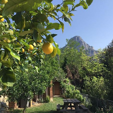 Au Pied Des Baous Bed and Breakfast Vence Εξωτερικό φωτογραφία