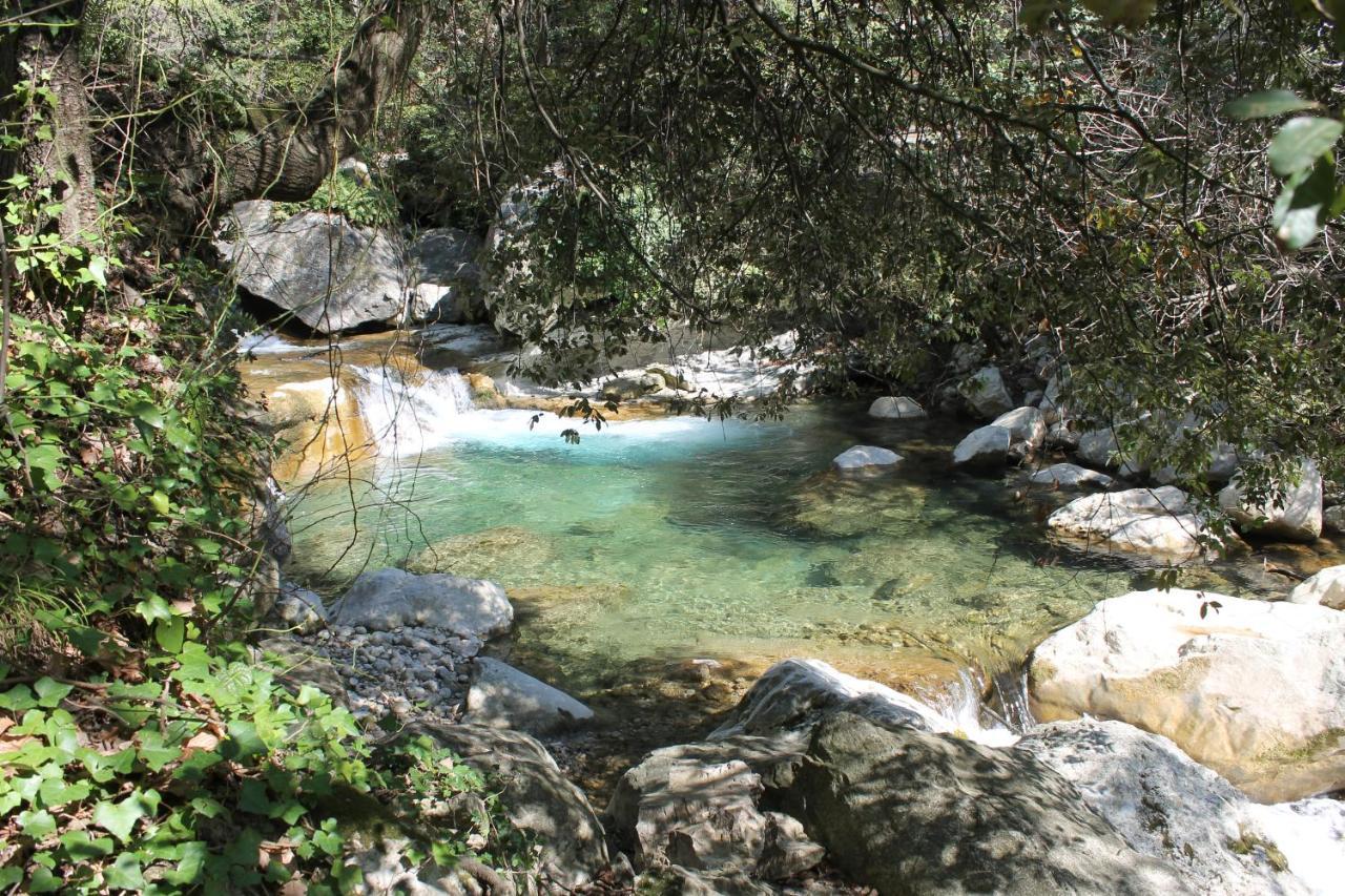 Au Pied Des Baous Bed and Breakfast Vence Εξωτερικό φωτογραφία