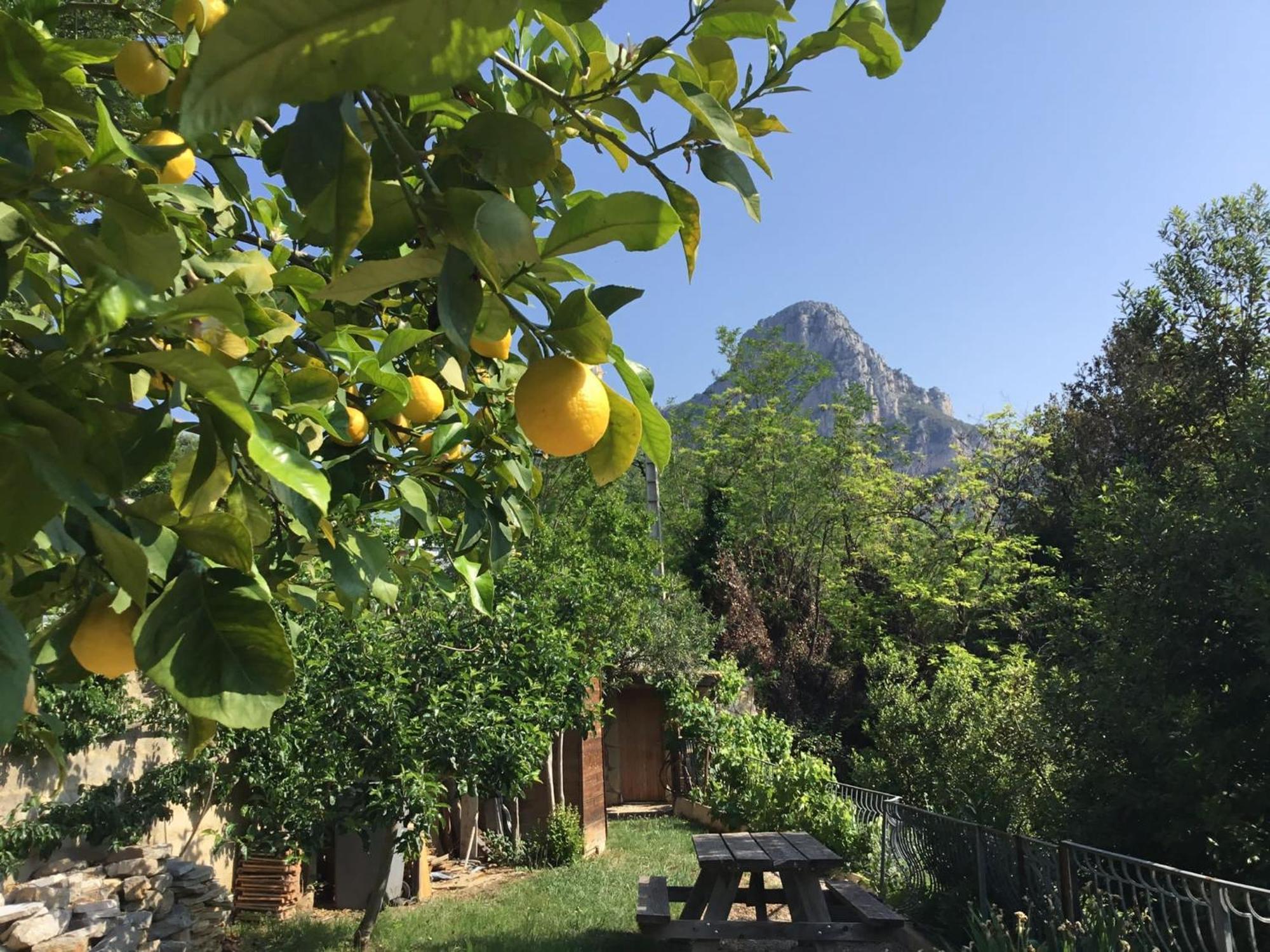Au Pied Des Baous Bed and Breakfast Vence Εξωτερικό φωτογραφία
