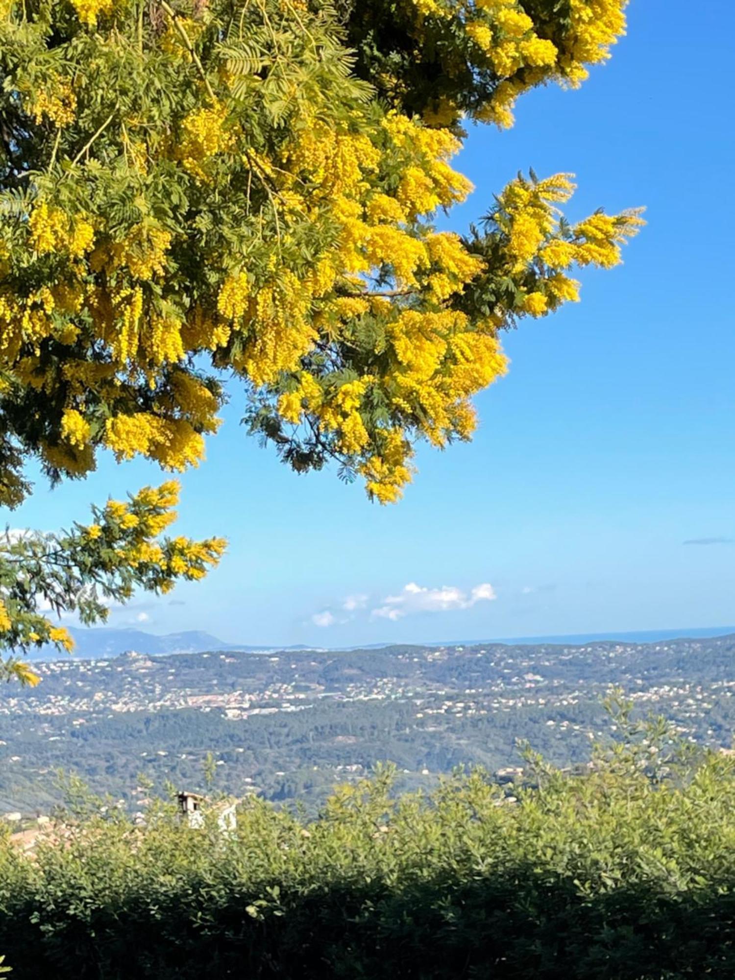 Au Pied Des Baous Bed and Breakfast Vence Εξωτερικό φωτογραφία