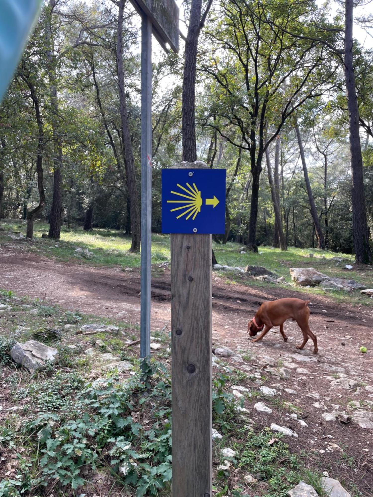 Au Pied Des Baous Bed and Breakfast Vence Εξωτερικό φωτογραφία