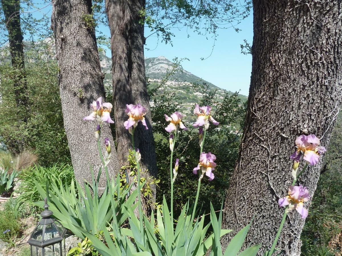Au Pied Des Baous Bed and Breakfast Vence Εξωτερικό φωτογραφία